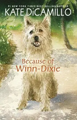 Die Geschichte von Winn-Dixie - Because of Winn-Dixie