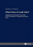 Wie sieht sie aus?; Wittgensteins Philosophie im Lichte seiner Konzeption der Sprachbeschreibung: Teil I - What Does It Look Like?; Wittgenstein's Philosophy in the Light of His Conception of Language Description: Part I