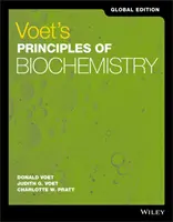 Voet's Grundlagen der Biochemie - Voet's Principles of Biochemistry