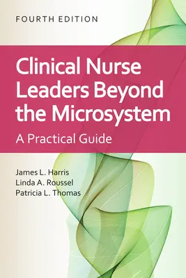 Clinical Nurse Leaders: Jenseits des Mikrosystems: Jenseits des Mikrosystems - Clinical Nurse Leaders: Beyond the Microsystem: Beyond the Microsystem