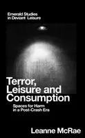Terror, Freizeit und Konsum: Räume für Schaden in einer Post-Crash-Ära - Terror, Leisure and Consumption: Spaces for Harm in a Post-Crash Era