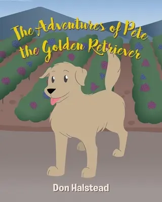 Die Abenteuer von Pete, dem Golden Retriever - The Adventures of Pete the Golden Retriever