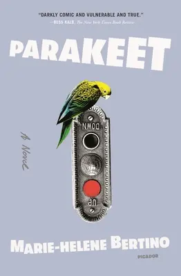 Sittich - Parakeet