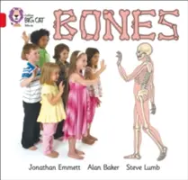 Knochen - Bones