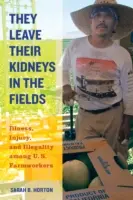 Sie lassen ihre Nieren auf den Feldern, 40: Krankheit, Verletzung und Illegalität unter US-Farmarbeitern - They Leave Their Kidneys in the Fields, 40: Illness, Injury, and Illegality Among U.S. Farmworkers