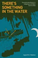 Da ist etwas im Wasser: Umweltrassismus in indigenen und schwarzen Gemeinschaften - There's Something in the Water: Environmental Racism in Indigenous & Black Communities