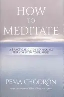 Wie man meditiert: Ein praktischer Leitfaden zur Freundschaft mit Ihrem Geist - How to Meditate: A Practical Guide to Making Friends with Your Mind