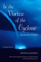 Im Wirbel des Wirbelsturms: Ausgewählte Gedichte - In the Vortex of the Cyclone: Selected Poems