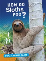 Wie kacken Faultiere? - How Do Sloths Poo?