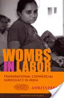 Gebärmütter in Arbeit: Transnationale kommerzielle Leihmutterschaft in Indien - Wombs in Labor: Transnational Commercial Surrogacy in India