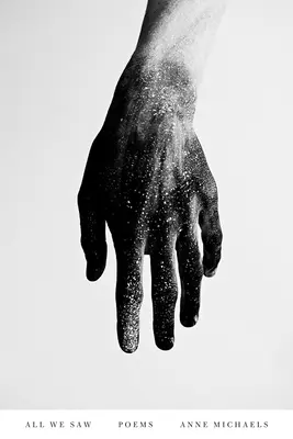 All We Saw: Gedichte - All We Saw: Poems