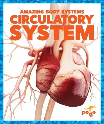 Das Kreislaufsystem - Circulatory System