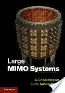 Große Mimo-Systeme - Large Mimo Systems