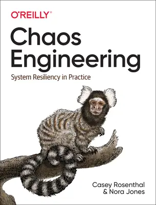 Chaos-Engineering: Systemresilienz in der Praxis - Chaos Engineering: System Resiliency in Practice