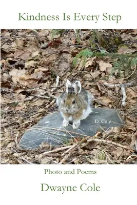 Freundlichkeit ist jeder Schritt - Kindness Is Every Step