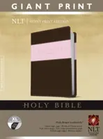 Riesen Druck Bibel-NLT - Giant Print Bible-NLT
