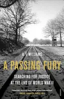 Eine vorbeiziehende Wut: Auf der Suche nach Gerechtigkeit am Ende des Zweiten Weltkriegs - A Passing Fury: Searching for Justice at the End of World War II