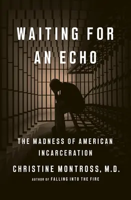 Warten auf ein Echo: Der Wahnsinn der amerikanischen Inhaftierung - Waiting for an Echo: The Madness of American Incarceration