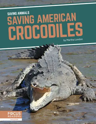 Rettung amerikanischer Krokodile - Saving American Crocodiles