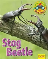 Wildtierbeobachter: Hirschkäfer - Wildlife Watchers: Stag Beetle