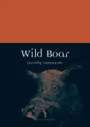 Wildschwein - Wild Boar