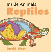 Reptilien - Reptiles