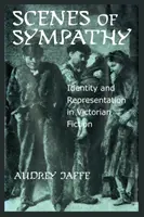 Szenen der Sympathie: Identität und Repräsentation in der viktorianischen Belletristik - Scenes of Sympathy: Identity and Representation in Victorian Fiction