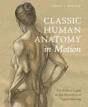 Klassische menschliche Anatomie in Bewegung: Der Leitfaden des Künstlers zur Dynamik des Figurenzeichnens - Classic Human Anatomy in Motion: The Artist's Guide to the Dynamics of Figure Drawing