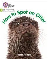 Wie man einen Otter erkennt - Phase 4 - How to Spot an Otter - Phase 4