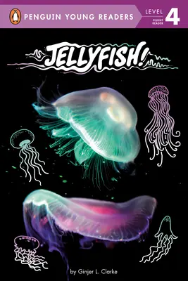 Quallen! - Jellyfish!