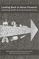 Zurückblicken, um voranzukommen - Bewältigung von Gesundheits- und Umweltkrisen - Looking Back to Move Forward - Resolving Health & Environmental Crises