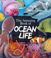 Erstaunliches Buch über das Leben im Meer - Amazing Book of Ocean Life