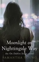 Mondlicht auf dem Nightingale Way - Moonlight on Nightingale Way