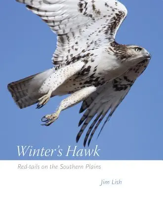 Der Falke des Winters: Rotschwänze in den südlichen Präriegebieten - Winter's Hawk: Red-Tails on the Southern Plains