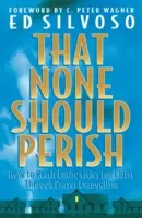 Damit niemand verloren geht: Wie man durch Gebetsevangelisation ganze Städte für Christus erreichen kann - That None Should Perish: How to Reach Entire Cities for Christ Through Prayer Evangelism