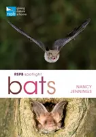 Rspb Spotlight Fledermäuse - Rspb Spotlight Bats