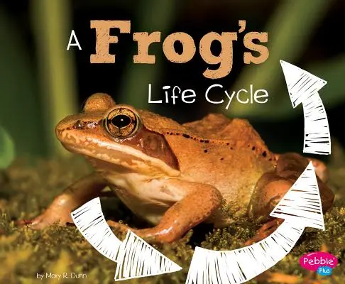 Der Lebenszyklus eines Frosches - A Frog's Life Cycle