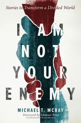 Ich bin nicht dein Feind: Geschichten zur Veränderung einer geteilten Welt - I Am Not Your Enemy: Stories to Transform a Divided World