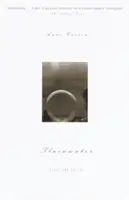 Plainwater: Essays und Gedichte - Plainwater: Essays and Poetry