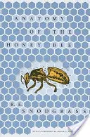 Anatomie der Honigbiene - Anatomy of the Honey Bee