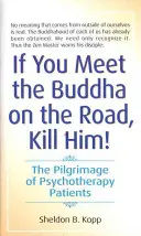 Wenn du den Buddha auf der Straße triffst, töte ihn: Die Pilgerreise von Psychotherapiepatienten - If You Meet the Buddha on the Road, Kill Him: The Pilgrimage of Psychotherapy Patients