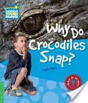 Warum schnappen Krokodile zu? Sachbuch Stufe 3 - Why Do Crocodiles Snap? Level 3 Factbook
