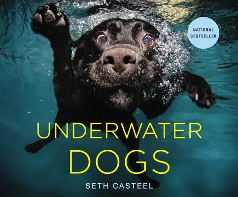 Unterwasser-Hunde - Underwater Dogs