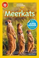 Erdmännchen - Meerkats