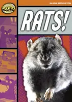 Schnelles Lesen: Ratten! (Stufe 4, Niveau 4B) - Rapid Reading: Rats! (Stage 4, Level 4B)