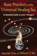 Grundlegende Praktiken des Universellen Heilenden Tao: Ein illustrierter Leitfaden für die Stufen 1 bis 6 - Basic Practices of the Universal Healing Tao: An Illustrated Guide to Levels 1 Through 6