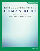 Einführung in den menschlichen Körper - Introduction to the Human Body