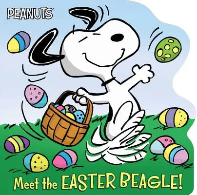 Triff den Osterbeagle! - Meet the Easter Beagle!