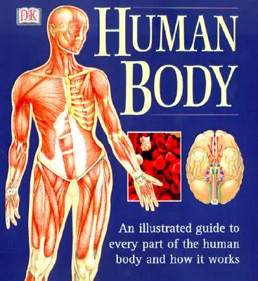 Der menschliche Körper: Ein illustrierter Leitfaden zu jedem Teil des menschlichen Körpers und wie er funktioniert - The Human Body: An Illustrated Guide to Every Part of the Human Body and How It Works