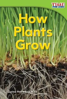 Wie Pflanzen wachsen - How Plants Grow